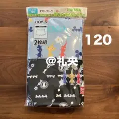【新品】 ピクミン ボクサーパンツ ボクサーブリーフ 120cm 2枚組