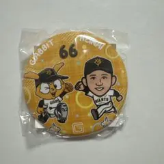 読売ジャイアンツ 平内龍太