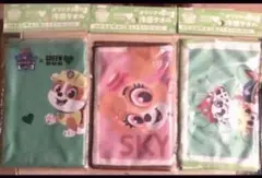 グリーンダカラ　冷感タオル　パウパトロール　全３種セット