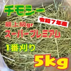 Item thumbnail for item 8c72b006-c009-43e9-9218-7310f139143c