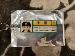 千葉ロッテマリーンズ　安田尚憲