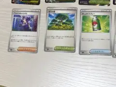 アセロラのいたずら 含む３枚セット