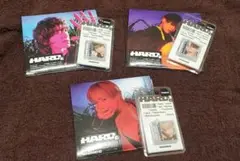 SHINee HARD smini セット オニュ ミンホ テミン