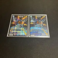 完全不明　2枚