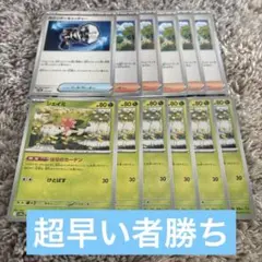 シェイミ　はなのカーテン　カウンターキャッチャー　タケシのスカウト　12枚