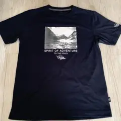 POLE WARDS Tシャツ L ネイビー