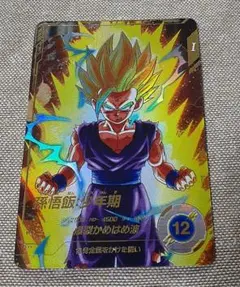 Item thumbnail for item 8ba6dcf6-f36f-480c-a75a-adef8967b989