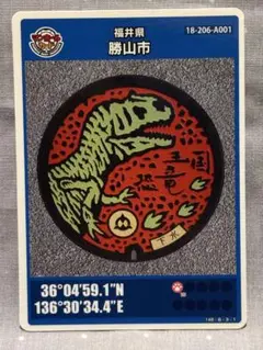 福井県 勝山市 マンホールカード 恐竜デザイン A001