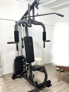 RINAI ボディーメーカーホームジムDX（板橋区 直接お渡し） Amazon | BODYMAKER(ボディメーカー) ホームジムDX 39種類以上の