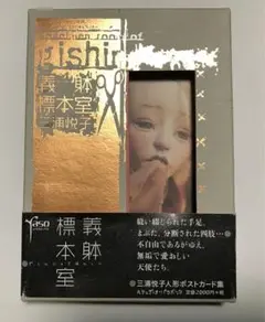 人形写真集 3冊セット 義躰少女 :フランケンシュタインの花嫁 : ザ・ドール 人形写真集 3冊セット 義躰少女 :フランケンシュタインの花嫁
