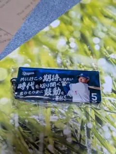 中日ドラゴンズ　ガチャ