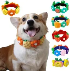 Item thumbnail for item 981fe3bc-32c5-4a93-98d5-709ffab4d564