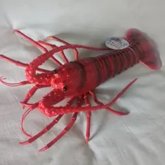伊勢海老ソフトフィギュアBIG 約40cm