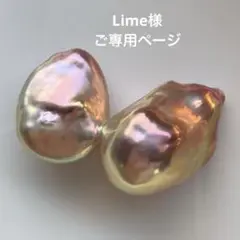 Lime＊休業中＊様　ご確認専用ページ250806