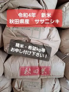 令和4年 新米 秋田県産ササニシキ 玄米10kg