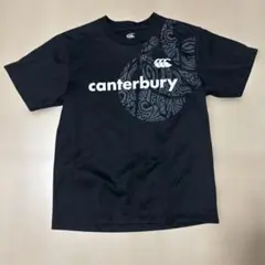 Item thumbnail for item 50672707-736c-4253-bc23-df7fbab9ed6c