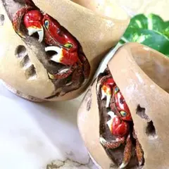 水月焼 皿 6客 好川恒方 大珍品 48 水月焼 皿 6客 好川恒方 大珍品 48