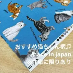 ★B939★ メイドインジャパン/ブランド/プリント生地/50cm