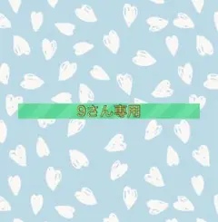9さん専用