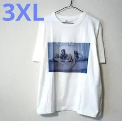 ヴァージンスーサイズ ソフィアコッポラ Tシャツ UNIQLO ユニクロ 3XL