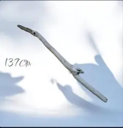 Item thumbnail for item 34994861-206d-4058-bb6a-7a9f0d1bbdfb