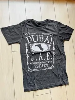 ドバイ ラクダ Tシャツ アラブ首長国連邦 万博