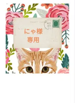 【新品未開封品】オバジ C25セラム ネオ ハーフサイズトライアル 6ml