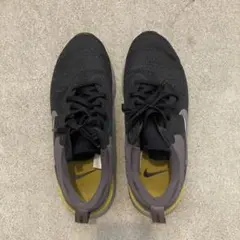 ナイキNIKEランニングウォーキングシューズ25センチ　25CM