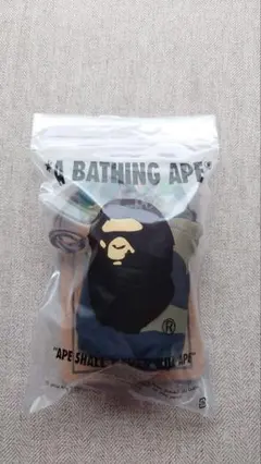 Item thumbnail for item 9bc448be-d99d-4c54-85ba-872405bb34ac