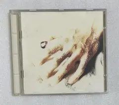 角松敏生 君をこえる日　CDアルバム