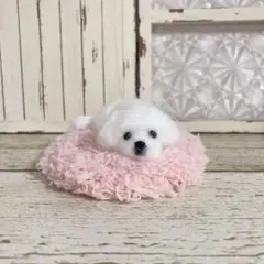 ペキニーズ ＊お迎えまだかなぁ＊毛糸　羊毛フェルト　犬　ぬいぐるみ　ミニチュアに