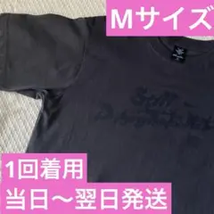 Item thumbnail for item 36e0fb75-4cc1-4969-aed4-c6856b2369fd