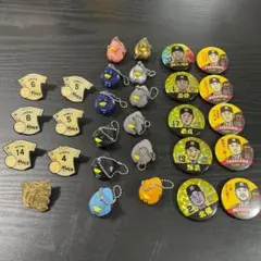 【阪神タイガース】缶バッジ アヒル ピンバッジ 2016年 鳥谷 金本 能見