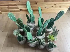 サボテンオブジェ