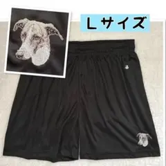 L/Badger Sports×grayコラボ ショートパンツ ウィペット 刺繍