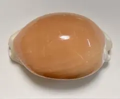 希少価値貝殻 ナンヨウダカラ Golden cowrie 自然・標本 :: 標本 :: ナンヨウダカラ Golden Cowry 82mm