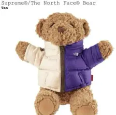 ぬいぐるみ Supreme x The North Face bear teddy bear The North Face Releases Limited-Edition Nuptse Bear | Hypebeast