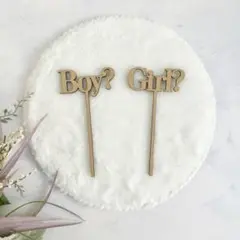 木製 ジェンダーリビール ケーキトッパー typeE Boy Girl