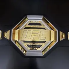 特価！IBF チャンピオンベルト　レプリカ　那須川天心 RIZIN UFC 武道 特価！IBF チャンピオンベルト レプリカ 那須川天心 RIZIN UFC