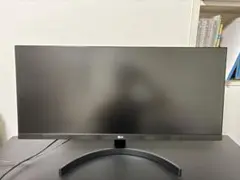 LG ウルトラワイドモニター 29LB500