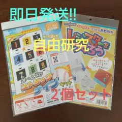 即日発送❗️ 簡単 自由研究 小学生 宿題 動かせる手作りおもちゃ② ２個セット