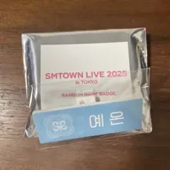 SMTOWN POP-UPネームバッジ　Hearts2heartsイェオン