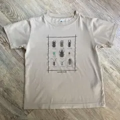 mont-bell 昆虫プリント Tシャツ ベージュ　130 ウィックロン