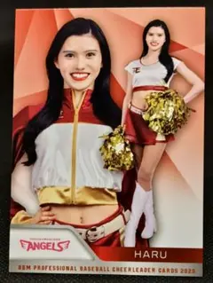 Item thumbnail for item 9a85b03a-914f-4ee8-830a-4f6e74a2bca9