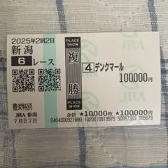 デンクマール 現地馬券　豊栄特別