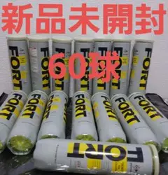 ダンロップ フォート テニスボール 60球セット