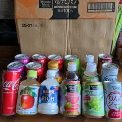 ジュース飲料詰め合わせ(炭酸、エナジードリンク、お茶などジュース飲料詰め合わせ