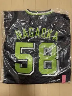 Item thumbnail for item 3651b4b7-3d10-48d0-807a-a6d34b9b87f8