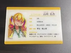 ランダムステータスカード 山吹美杏