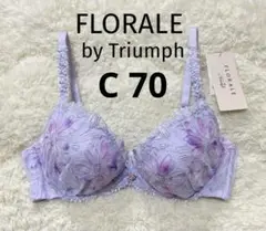 Item thumbnail for item e9815ae5-8f82-4623-a4bf-4f40c7167e3b